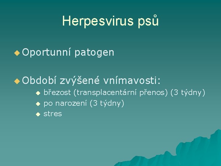 Herpesvirus psů u Oportunní u Období u u u patogen zvýšené vnímavosti: březost (transplacentární