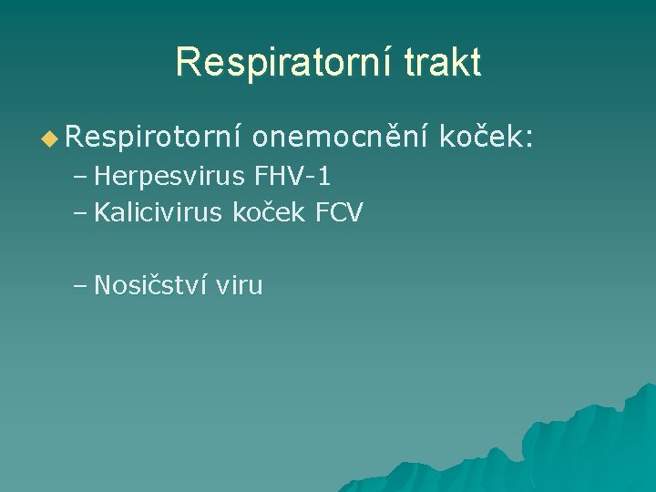 Respiratorní trakt u Respirotorní onemocnění koček: – Herpesvirus FHV-1 – Kalicivirus koček FCV –