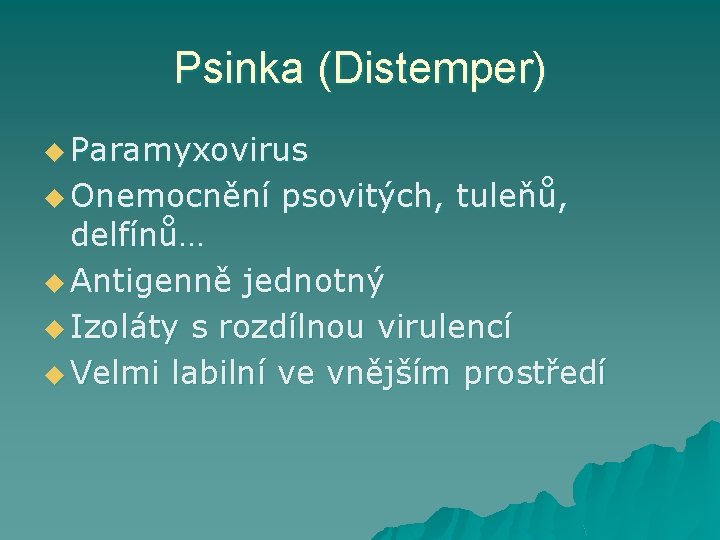 Psinka (Distemper) u Paramyxovirus u Onemocnění psovitých, tuleňů, delfínů… u Antigenně jednotný u Izoláty