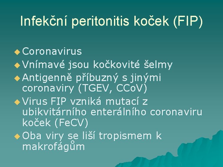 Infekční peritonitis koček (FIP) u Coronavirus u Vnímavé jsou kočkovité šelmy u Antigenně příbuzný