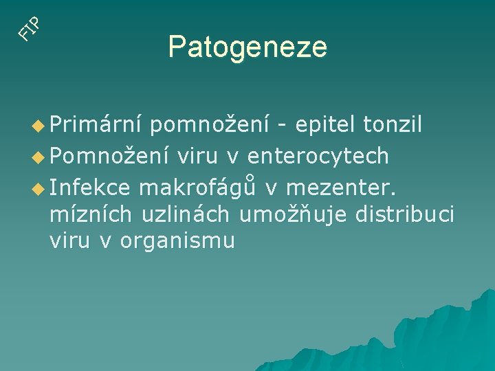 FI P u Primární Patogeneze pomnožení - epitel tonzil u Pomnožení viru v enterocytech