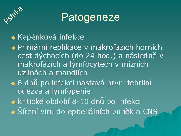 a k n i s P Patogeneze Kapénková infekce u Primární replikace v makrofázích