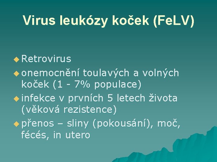 Virus leukózy koček (Fe. LV) u Retrovirus u onemocnění toulavých a volných koček (1