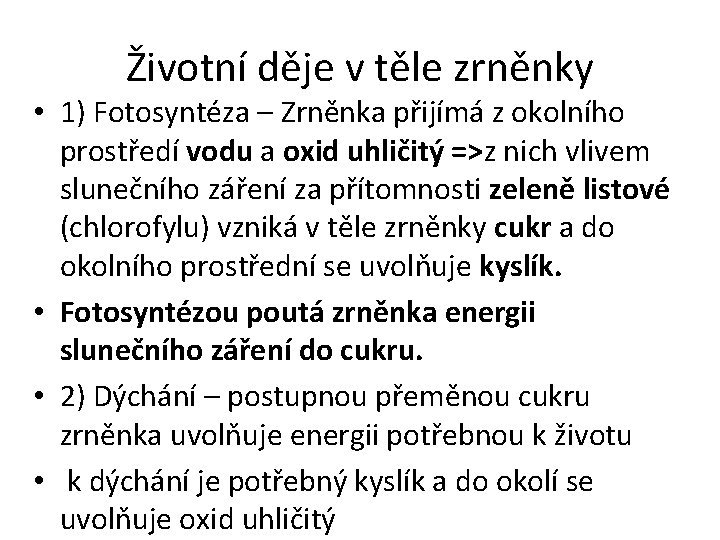 Životní děje v těle zrněnky • 1) Fotosyntéza – Zrněnka přijímá z okolního prostředí