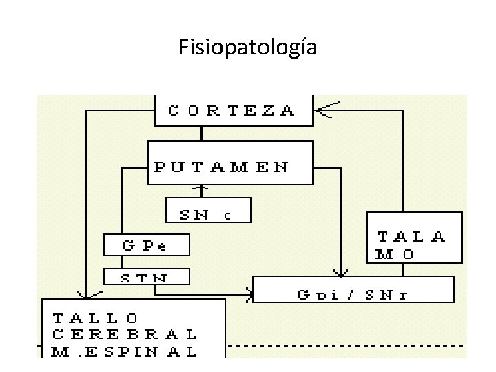 Fisiopatología 