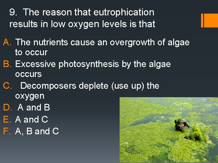 9. The reason that eutrophication results in low oxygen levels is that A. The