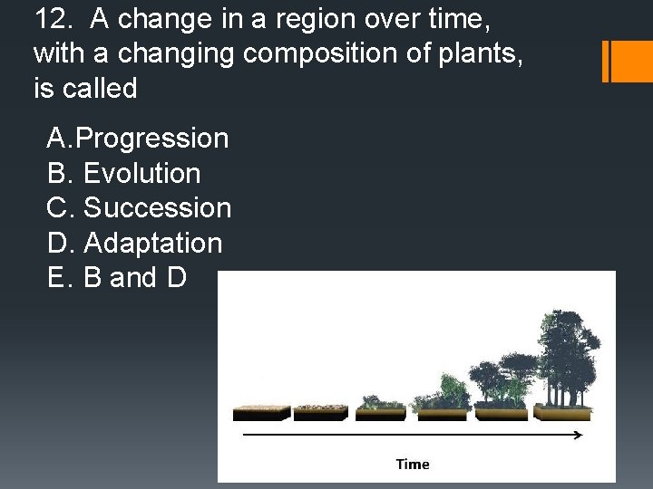 12. A change in a region over time, with a changing composition of plants,