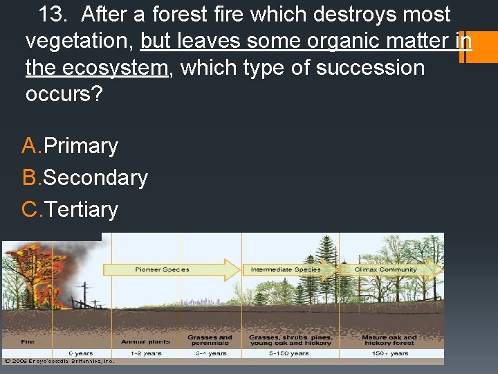 13. After a forest fire which destroys most vegetation, but leaves some organic matter