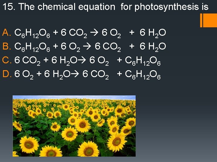 15. The chemical equation for photosynthesis is A. C 6 H 12 O 6