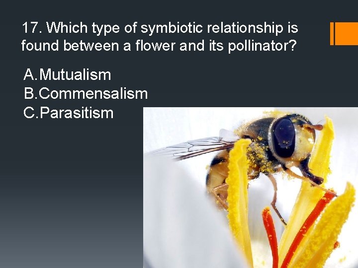 17. Which type of symbiotic relationship is found between a flower and its pollinator?
