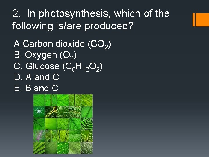 2. In photosynthesis, which of the following is/are produced? A. Carbon dioxide (CO 2)