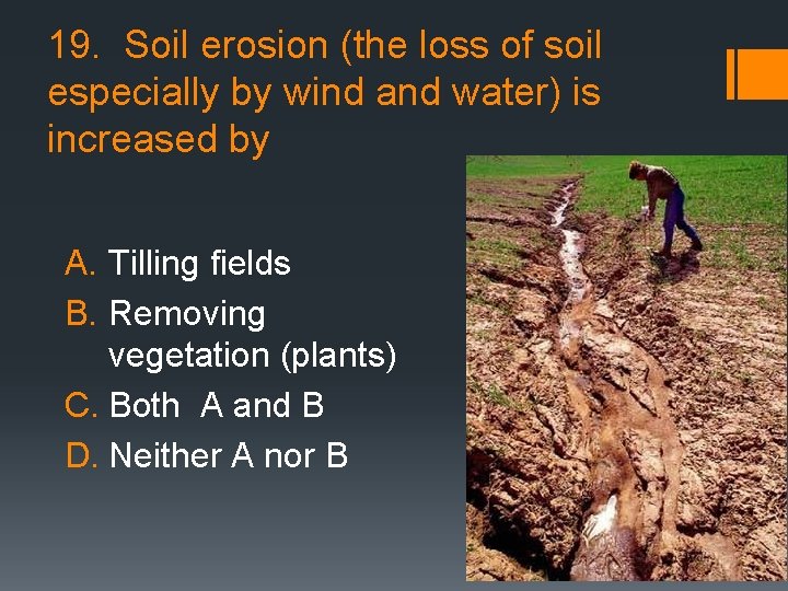 19. Soil erosion (the loss of soil especially by wind and water) is increased