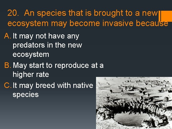 20. An species that is brought to a new ecosystem may become invasive because