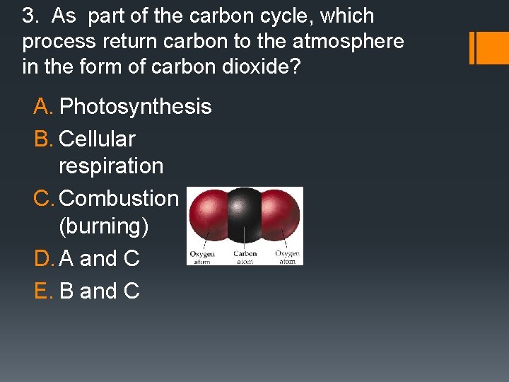 3. As part of the carbon cycle, which process return carbon to the atmosphere