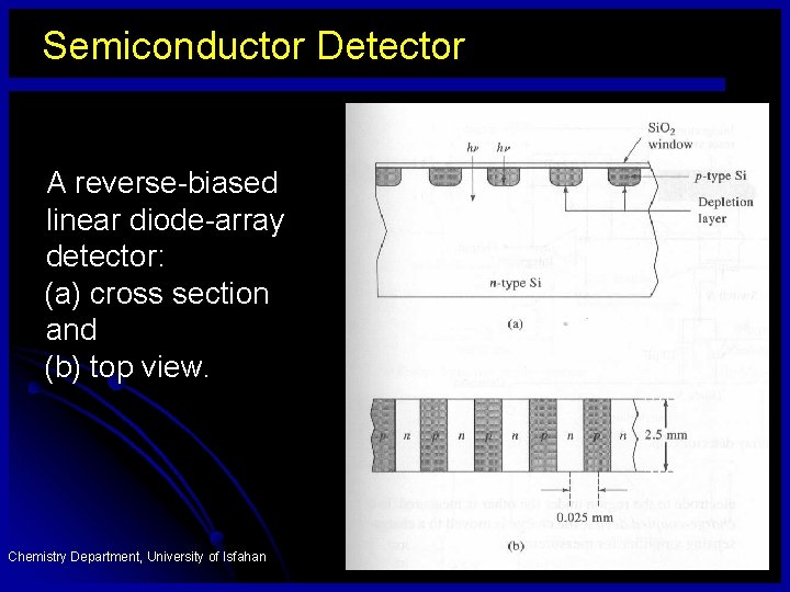 Semiconductor Detector A reverse-biased linear diode-array detector: (a) cross section and (b) top view.