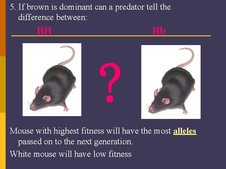 5. If brown is dominant can a predator tell the difference between: BB Bb