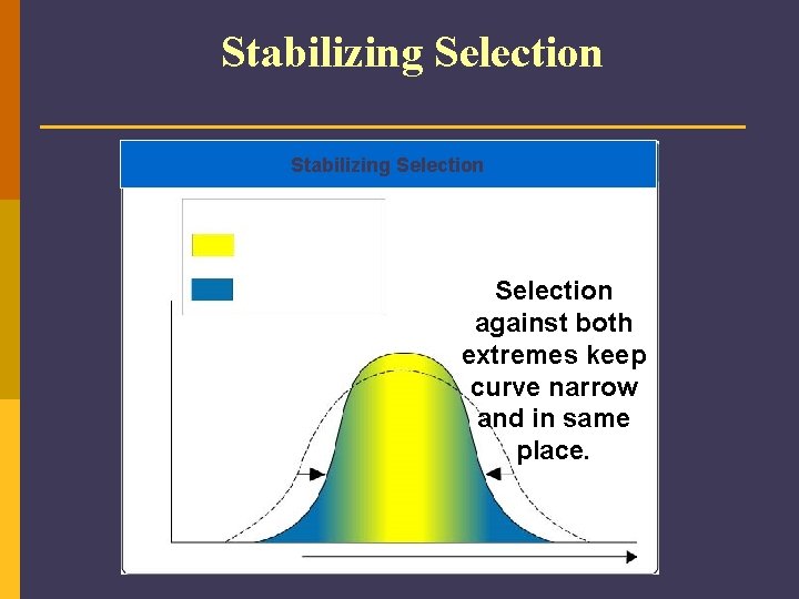 Stabilizing Selection Key Low mortality, high fitness Percentage of Population High mortality, low fitness
