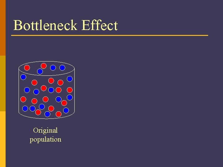 Bottleneck Effect Original population 