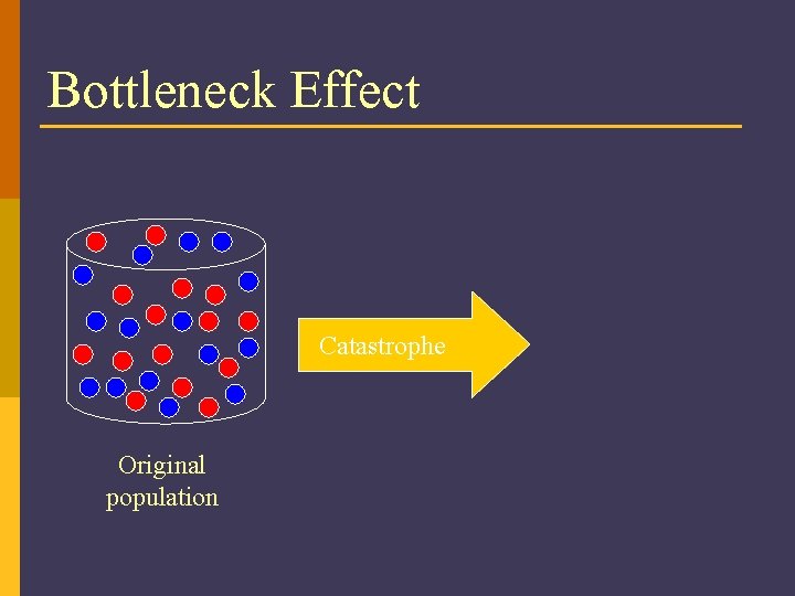 Bottleneck Effect Catastrophe Original population 