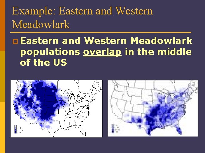 Example: Eastern and Western Meadowlark populations overlap in the middle of the US 