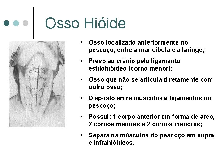 Osso Hióide • Osso localizado anteriormente no pescoço, entre a mandíbula e a laringe;