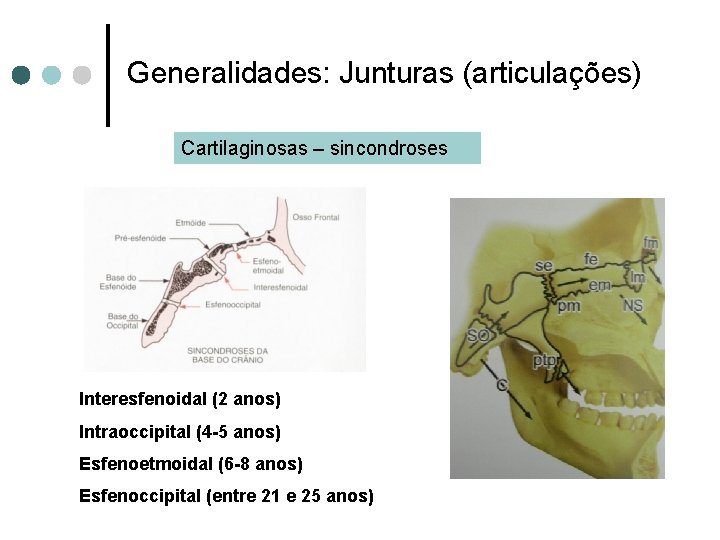Generalidades: Junturas (articulações) Cartilaginosas – sincondroses Interesfenoidal (2 anos) Intraoccipital (4 -5 anos) Esfenoetmoidal