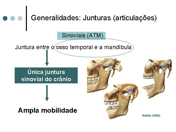 Generalidades: Junturas (articulações) Sinoviais (ATM) Juntura entre o osso temporal e a mandíbula Única