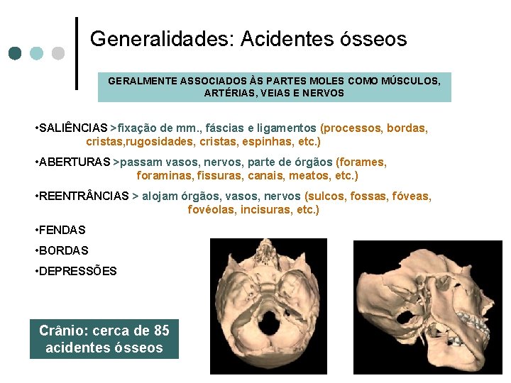 Generalidades: Acidentes ósseos GERALMENTE ASSOCIADOS ÀS PARTES MOLES COMO MÚSCULOS, ARTÉRIAS, VEIAS E NERVOS