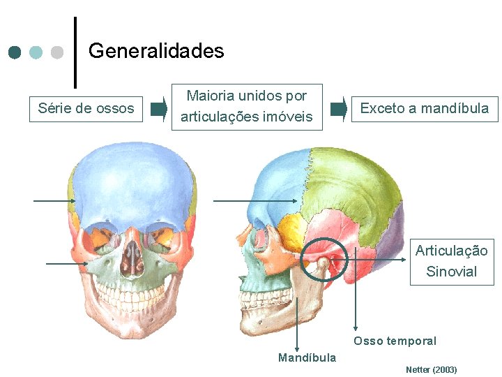 Generalidades Série de ossos Maioria unidos por articulações imóveis Exceto a mandíbula Articulação Sinovial