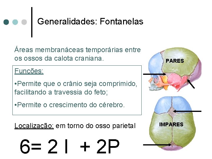 Generalidades: Fontanelas Áreas membranáceas temporárias entre os ossos da calota craniana. PARES Funções: •