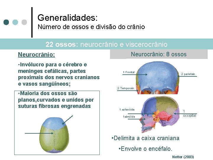 Generalidades: Número de ossos e divisão do crânio 22 ossos: neurocrânio e viscerocrânio Neurocrânio: