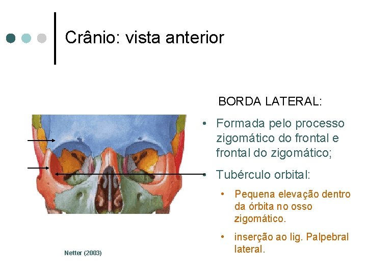 Crânio: vista anterior BORDA LATERAL: • Formada pelo processo zigomático do frontal e frontal