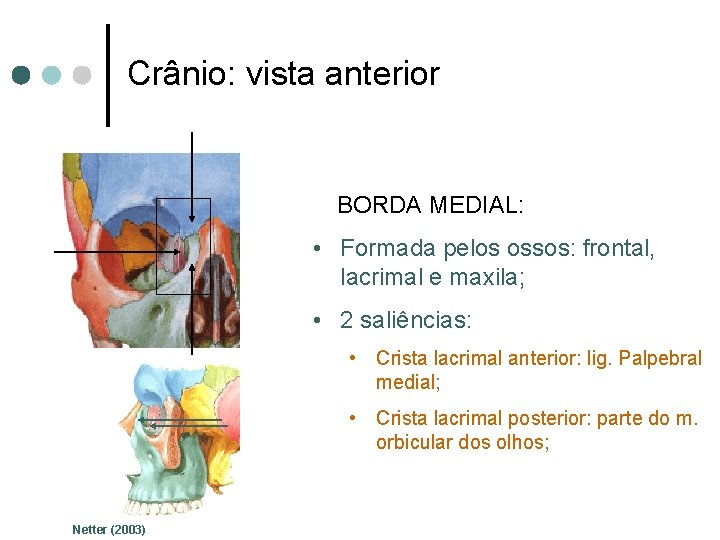 Crânio: vista anterior BORDA MEDIAL: • Formada pelos ossos: frontal, lacrimal e maxila; •