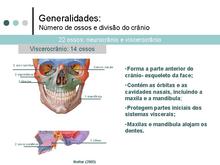 Generalidades: Número de ossos e divisão do crânio 22 ossos: neurocrânio e viscerocrânio Viscerocrânio: