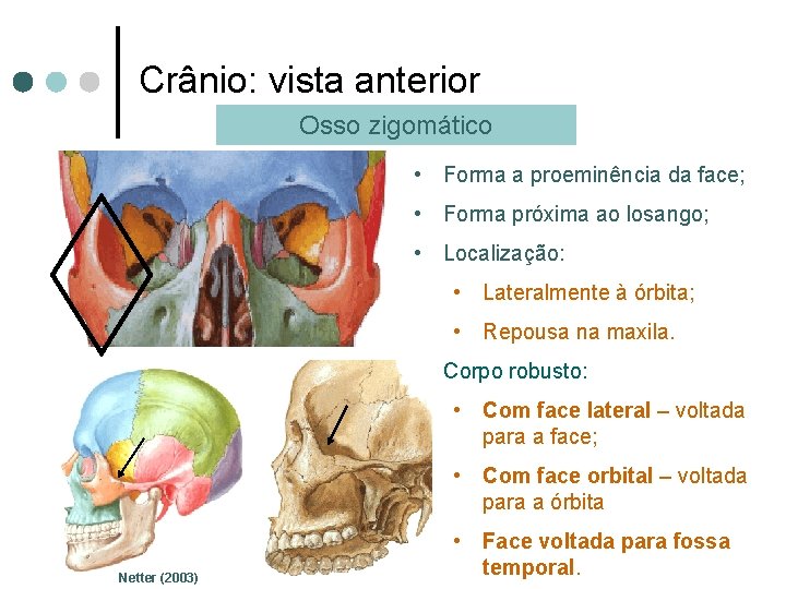 Crânio: vista anterior Osso zigomático • Forma a proeminência da face; • Forma próxima