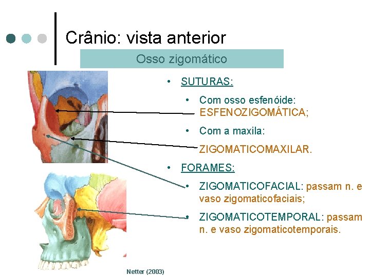 Crânio: vista anterior Osso zigomático • SUTURAS: • Com osso esfenóide: ESFENOZIGOMÁTICA; • Com