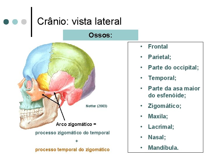 Crânio: vista lateral Ossos: • Frontal • Parietal; • Parte do occipital; • Temporal;