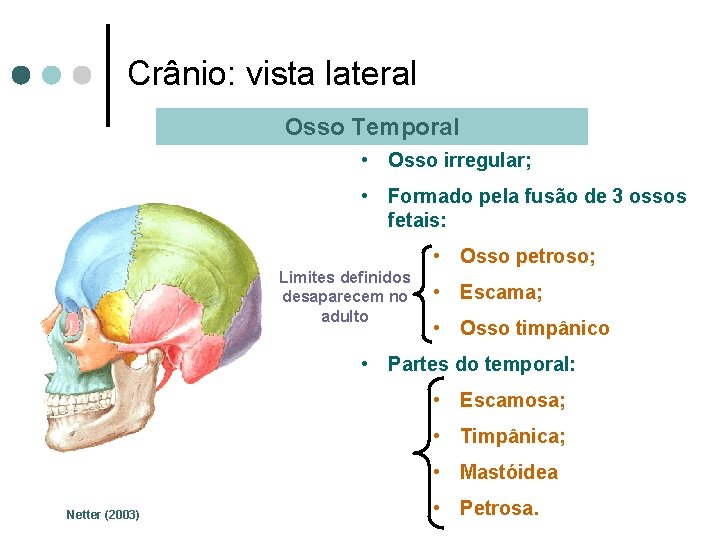 Crânio: vista lateral Osso Temporal • Osso irregular; • Formado pela fusão de 3