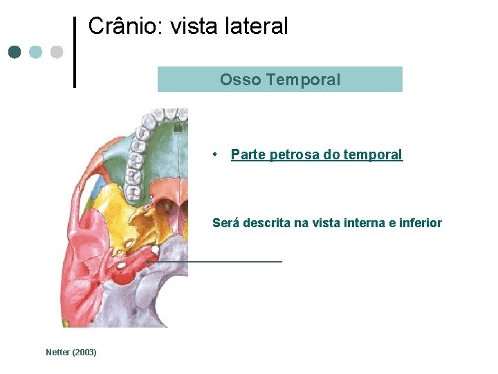 Crânio: vista lateral Osso Temporal • Parte petrosa do temporal Será descrita na vista