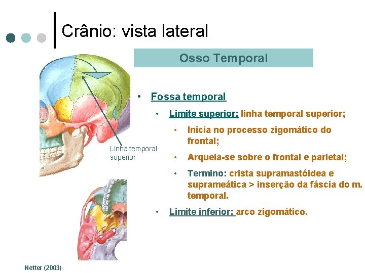 Crânio: vista lateral Osso Temporal • Fossa temporal • Linha temporal superior • Netter