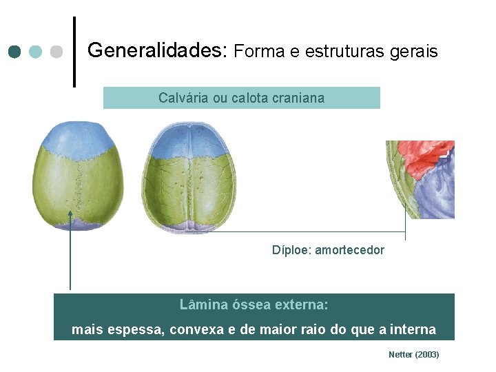Generalidades: Forma e estruturas gerais Calvária ou calota craniana Díploe: amortecedor Lâmina óssea externa: