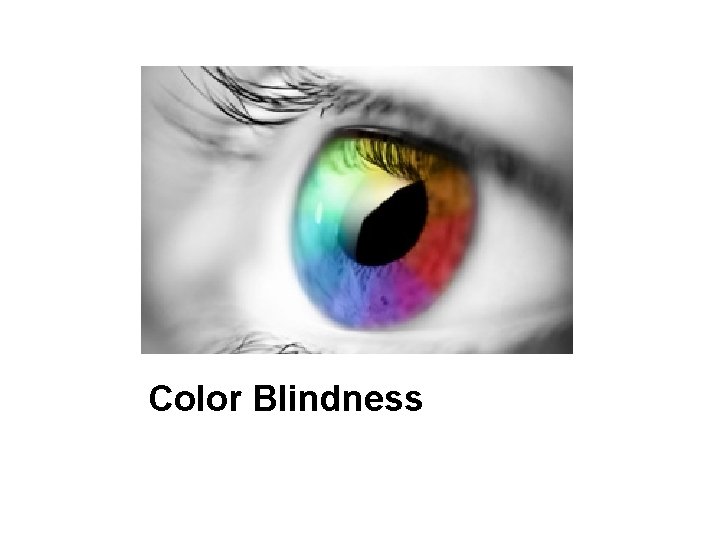 Color Blindness 