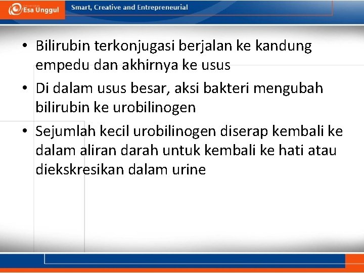  • Bilirubin terkonjugasi berjalan ke kandung empedu dan akhirnya ke usus • Di
