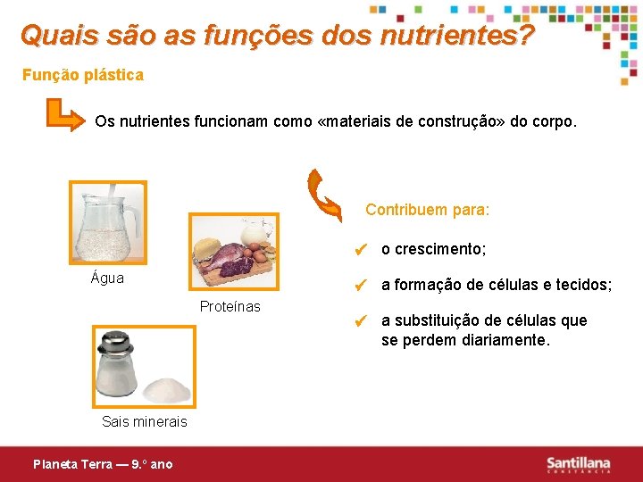 Quais são as funções dos nutrientes? Função plástica Os nutrientes funcionam como «materiais de