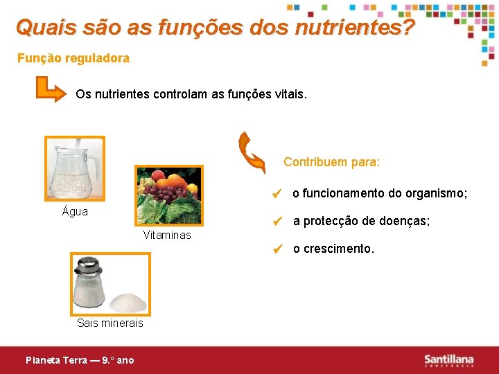 Quais são as funções dos nutrientes? Função reguladora Os nutrientes controlam as funções vitais.