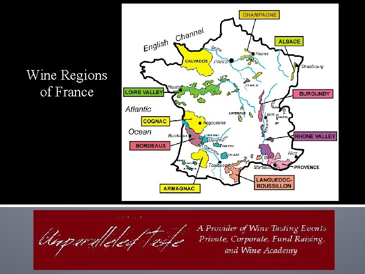 Wine Regions of France 