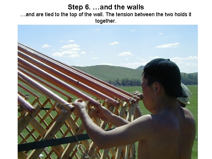 Step 6. …and the walls …and are tied to the top of the wall.