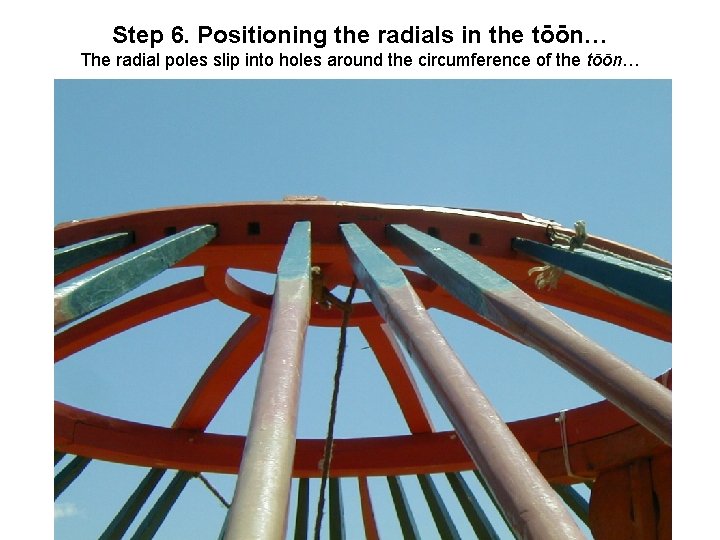 Step 6. Positioning the radials in the tōōn… The radial poles slip into holes