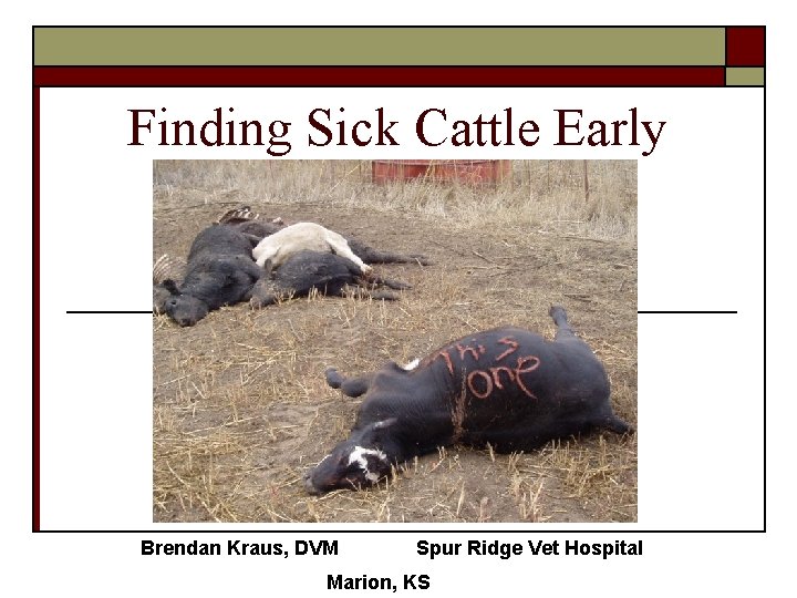 Finding Sick Cattle Early Brendan Kraus, DVM Spur Ridge Vet Hospital Marion, KS 