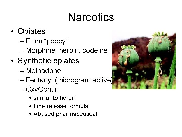 Narcotics • Opiates – From “poppy” – Morphine, heroin, codeine, • Synthetic opiates –
